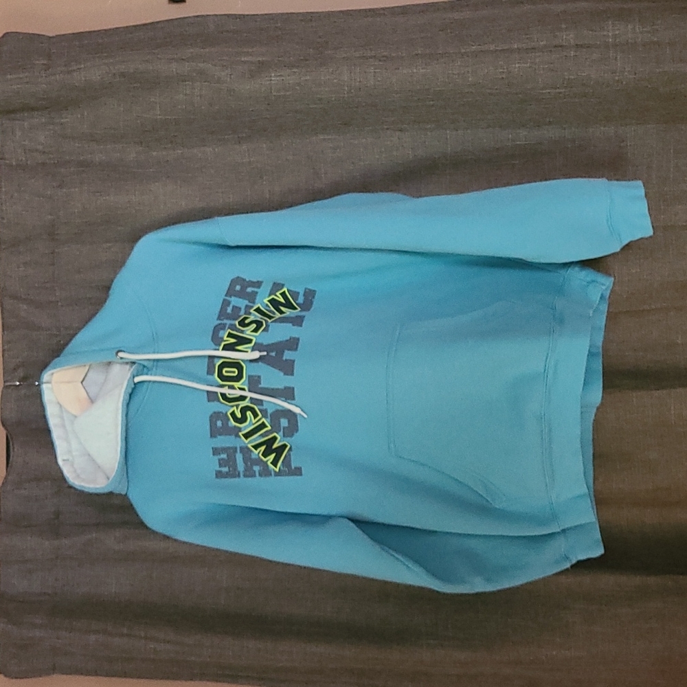 Wisconsin Badger State Hoodie